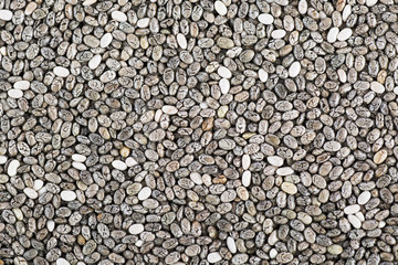 Chia Seeds Texture