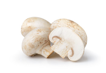 champignon mushroom  isolated on white background