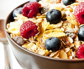 Muesli with Berries Closeup