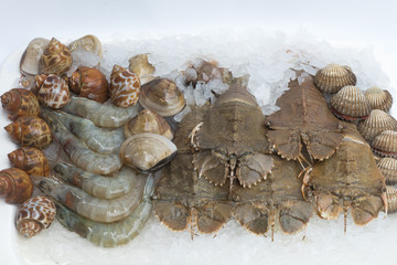 Seafood on ice