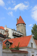 Wehrturm der Stadtmauer von Tallinn über der Altstadt