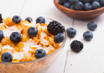 Bowl of healthy muesli and fresh berries