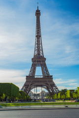 Fototapeta na wymiar Eiffel Tower in Paris , France