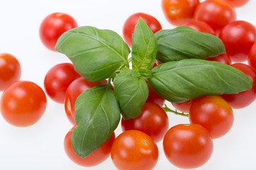 fresh cherry tomatoes with basil, on white background