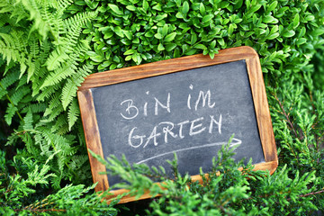 Bin im Garten