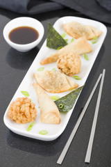 Fried Asian Snacks - Deep fried Oriental starters