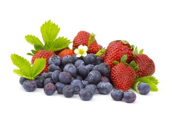 fresh fruits on white background