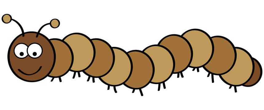 Tausendfuessler