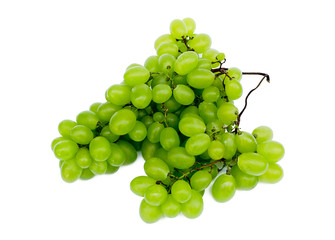 green grapes isolated