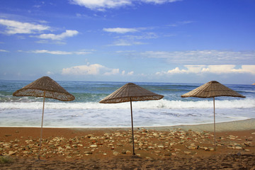 parasols on the beach