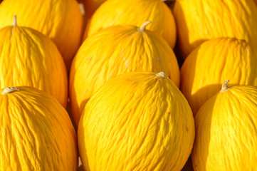 Melon