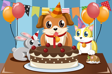 Pets birthday