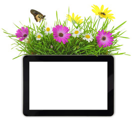 Tablet with blank white screen,grass and flowers