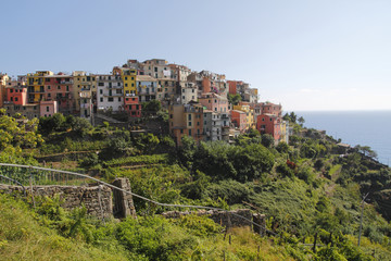 Obraz premium Village of Corniglia, at Cinque Terre, Italy
