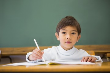 Happy pupil writing in notepad at desks