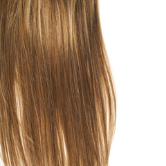 Hair fragment over the white