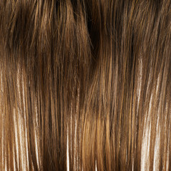 Hair fragment as a background composition