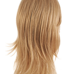 Fototapeta premium Hair fragment over the white
