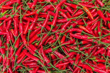 A pile of red chilli peppers