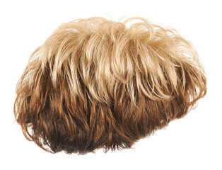 Hair wig isolated