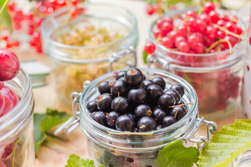 black red white currants gooseberries cherries jars preparations