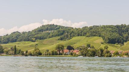 Murten, Murtensee, See, Seeufer, Uferweg, Wanderweg, Weinberg, Mont Vully, Weinbauer, Wanderferien, Sommer, Schweiz