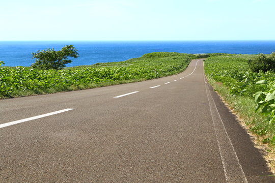 能取岬への道