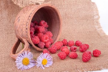 The Still Life with Raspberries