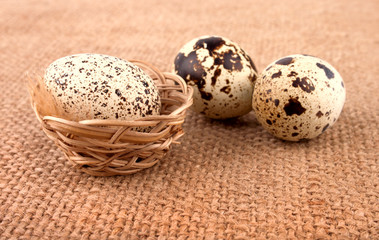 The Composition from Quail Eggs
