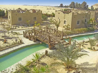 Abwaschbare Fototapete Egypte oasis de Siwa © foxytoul