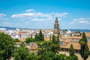 Fototapeta na wymiar View of Alcazar and Cathedral Mosque of Cordoba, Spain