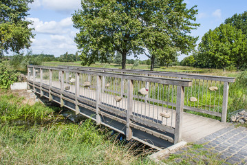 Fototapeta premium Footbridge in Nature