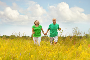 Naklejka na ściany i meble Senior couple running in summer field
