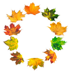Naklejka na ściany i meble Letter O composed of autumn maple leafs