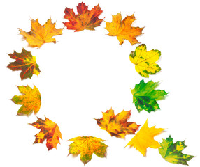 Naklejka na ściany i meble Letter Q composed of autumn maple leafs