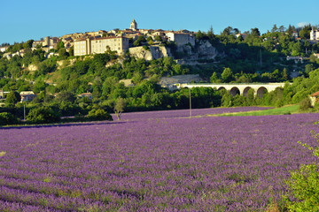 Obraz premium Provence rural landscape
