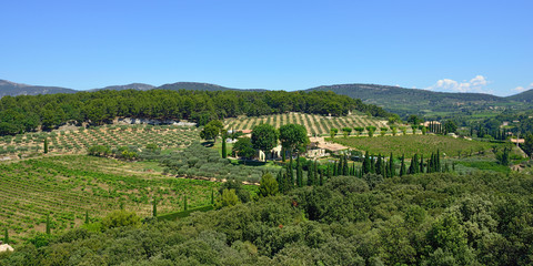 Fototapeta na wymiar Provence rural landscape