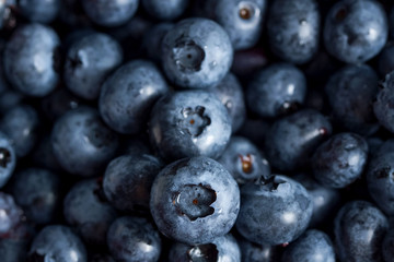 Freshly picked blueberries