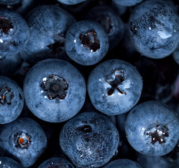 Freshly picked blueberries in water