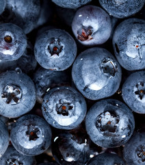 Freshly picked blueberries in water