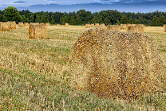 Hay bail harvesting in a field landscape