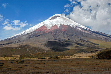 Fototapeta premium View of the majestic Cotopaxi volcano
