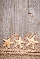 Fototapeta na wymiar starfish on a background of old cloth