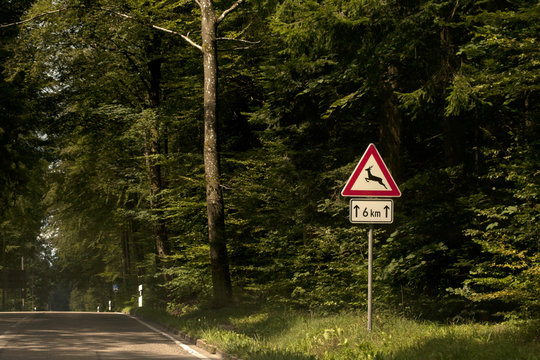 Wildwechsel Schild im Wald warnt Auto Fahrer vor Wild Unfall
