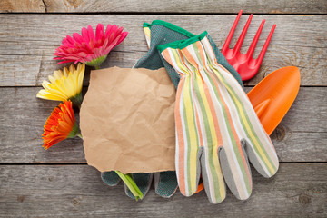 Gardening tools, gloves and gerbera flowers