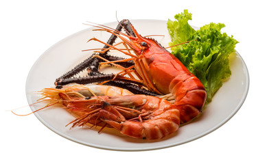 Giant Freshwater Prawn and king prawns