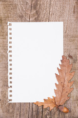 Sheet of paper and autumn leaves on wooden background