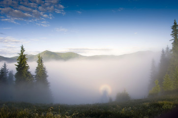 evening mountain plateau landscape (Carpathian, Ukraine)