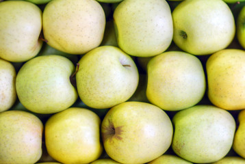 Ripe apples