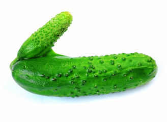 Cucumber